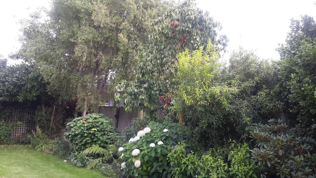 Jade Bed & Breakfast Blenheim Esterno foto