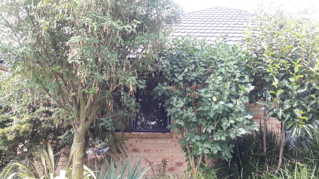 Jade Bed & Breakfast Blenheim Esterno foto